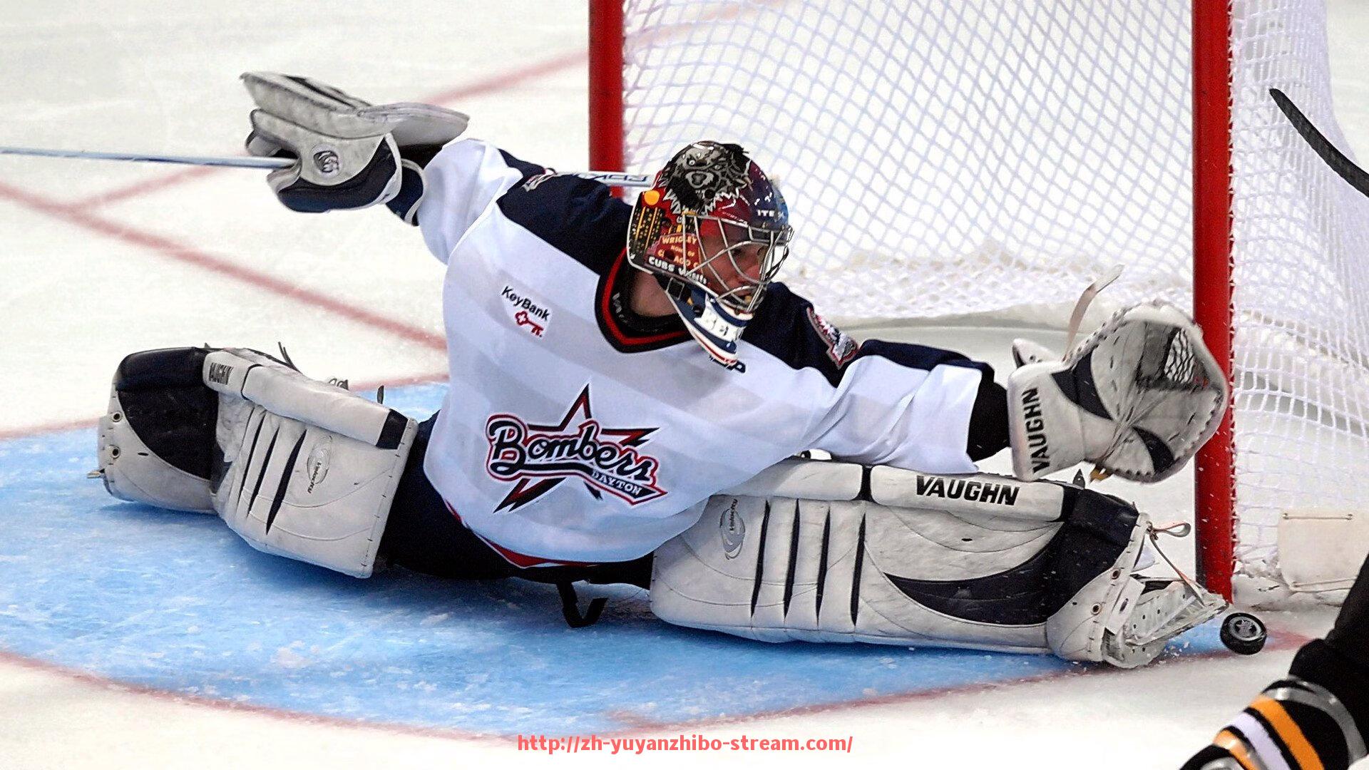 雨燕直播-世俱杯赛事赞助权益分配方案的设计与应用研究